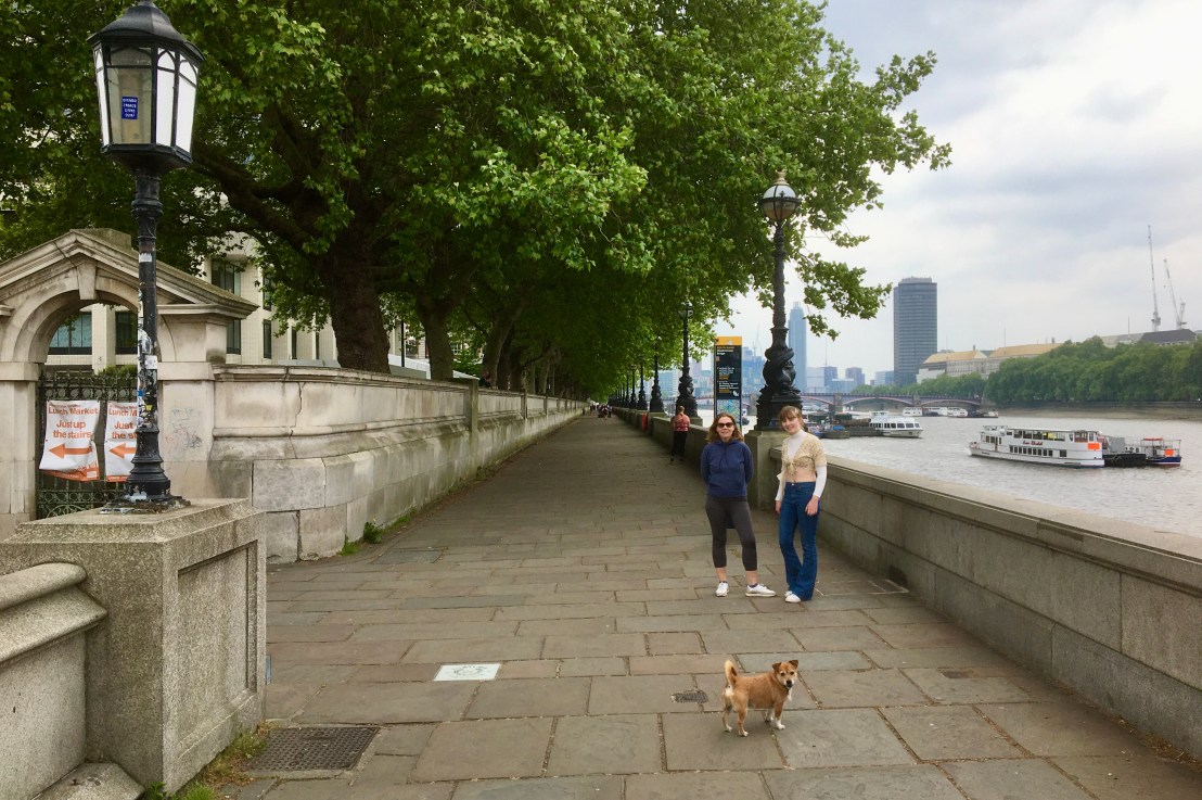 Lowdown on the lockdown&nbsp;10.5.20